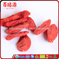 Vente chaude ningxia goji baies fraîches goji baies goji baies avec des prix bas